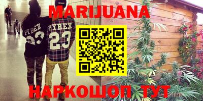 гашик Шахты