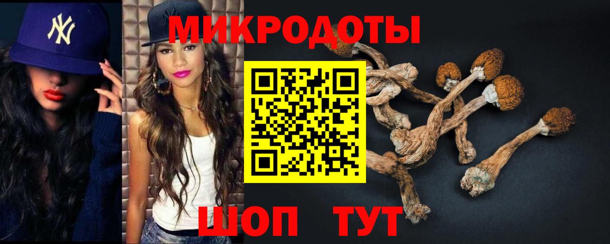 Галлюциногенные грибы GOLDEN TEACHER  Вход с VPN  Батайск 